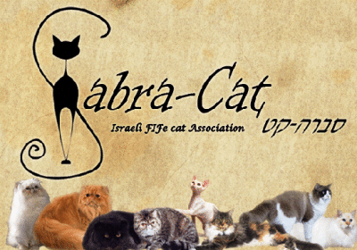 Welcome to the Sabra Cat Gallery 